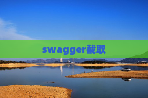 swagger截取